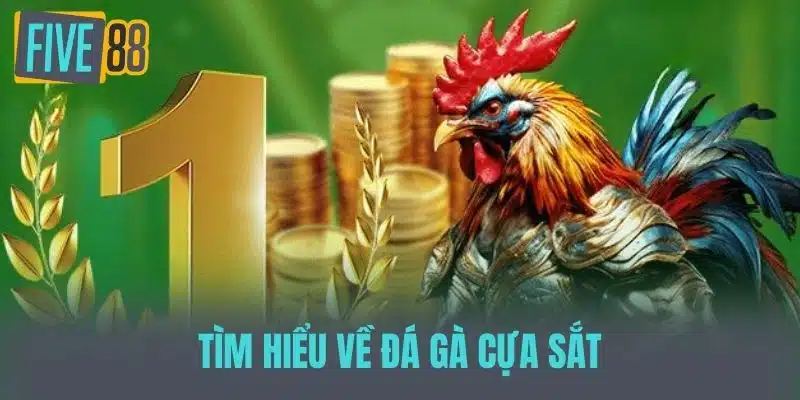 Khám Phá Thế Giới Đá Gà Cựa Sắt - Truyền Thống Và Đam Mê Tìm hiểu về Đá gà cựa sắt
