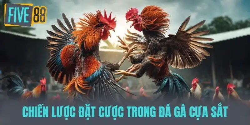 Khám Phá Thế Giới Đá Gà Cựa Sắt - Truyền Thống Và Đam Mê Chiến lược đặt cược trong Đá gà cựa sắt