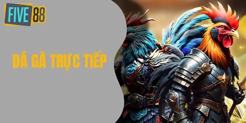 Đá Gà Trực Tiếp - Trải Nghiệm Hồi Hộp Từ Sân Đấu Đến Màn Hình Đá Gà Trực Tiếp - Trải Nghiệm Hồi Hộp Từ Sân Đấu Đến Màn Hình