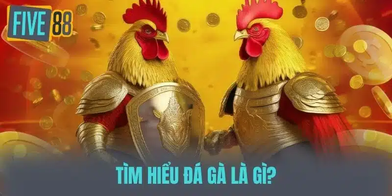 Kinh Nghiệm Đá Gà - Bí Quyết Thắng Lớn Cho Người Chơi Mới Tìm hiểu Đá gà là gì?