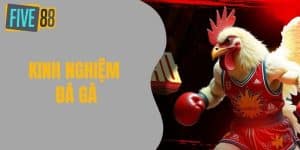 Kinh Nghiệm Đá Gà - Bí Quyết Thắng Lớn Cho Người Chơi Mới